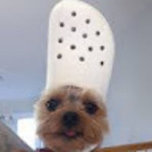 Meet your Posher, Avery n